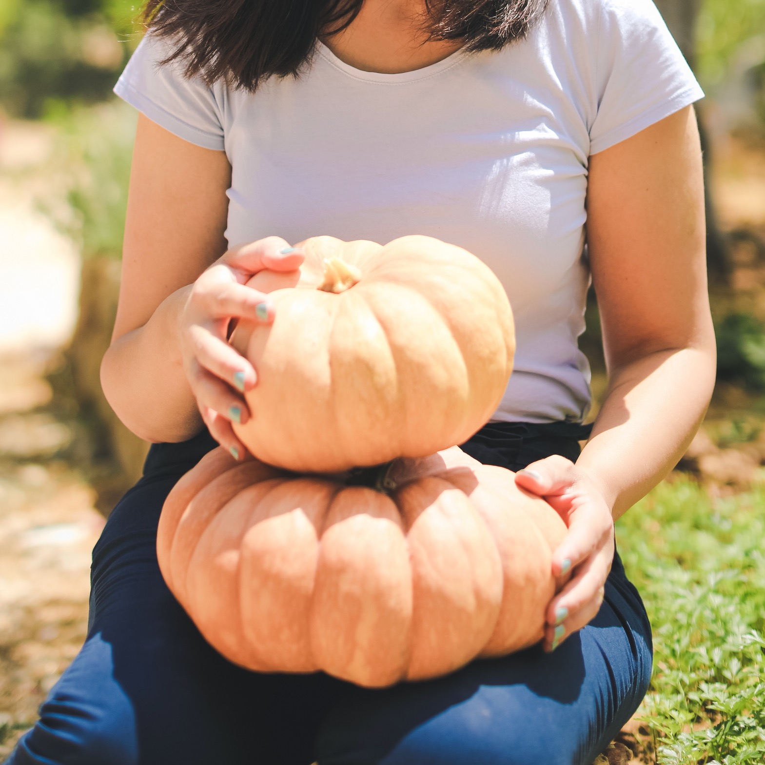 Kürbis rezepte kochen